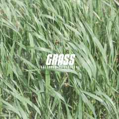 LuneArbor x brokebwoy - Grass