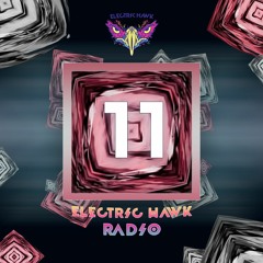 Electric Hawk Radio | Episode #11 | FRYAR