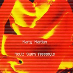 Adult Swim Freestyle