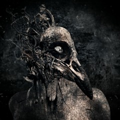 Blatant Disarray - Parasite