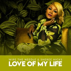 Wipe The Needle & Sheree Hicks - Love of My life (Out Now on Traxsource)