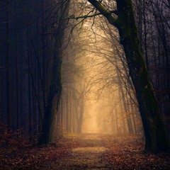 The Forgotten Trail