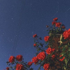 without u-cover