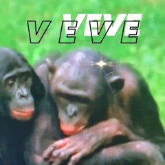 STTARR x Yunglitch - VEVE