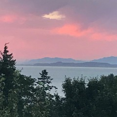 The Enemy of My Mind