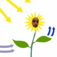 photosynthesis vs cellular respiration rap battle (atp anthem)