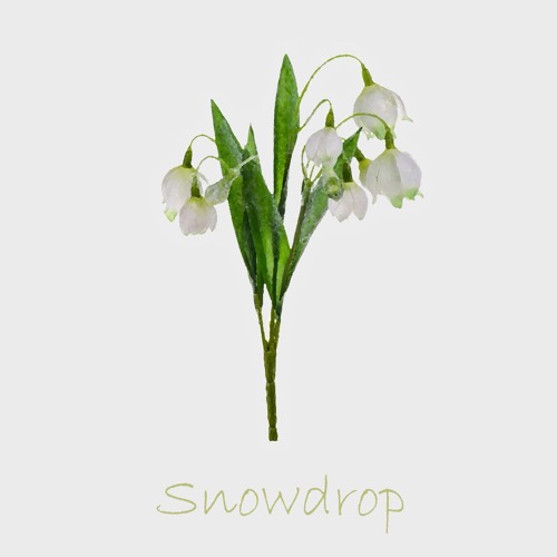 Snowdrop feat. Muu.