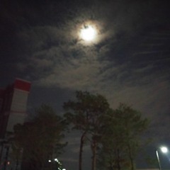 달에 비친 너를 보네