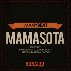 Manybeat  - Mamasota (Original Mix) [AyOuB]