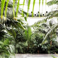 Oss Waves | Radice Pura_22.12.2019