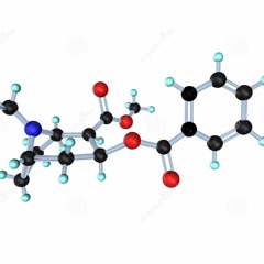 Privatrave Metropole Sulzbach