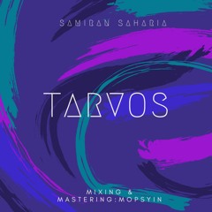 Tarvos (Original Mix)