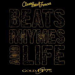 Nu Hip Hop
