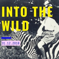 Into The Wild - COSMICAT opening set on NYE 31.12.18