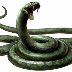 DUKOBAN