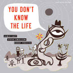 1. Ode To a Green Frisbee - (from J.Saft, S. Swallow, B. Previte "You Don't Know The Life')