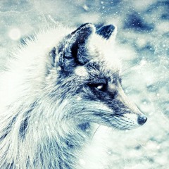 FoxZone