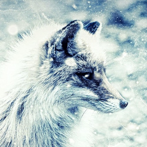 FoxZone