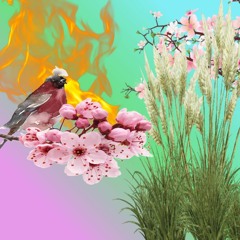 generations of change