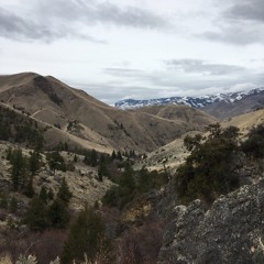 Half Moon (Blind Pilot Cover)