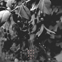 Resistance (Free Download in the discription)
