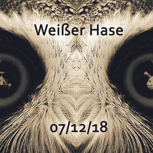 Jakob Lange@one Year Disordered