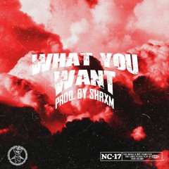 ALE THE KID - What You Want ft. Atalex (prod. by shrxm)