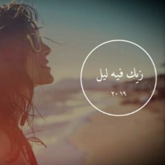 زيك فيه ليل