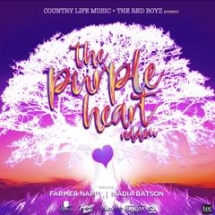 Farmer Nappy - Hookin Meh (The Purple Heart Riddim)