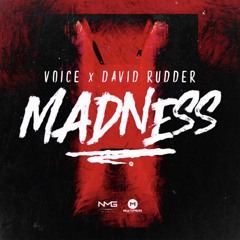 Voice X David Rudder - Madness
