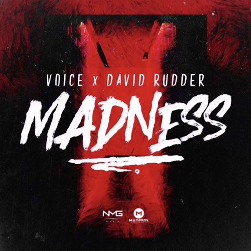 Voice X David Rudder - Madness