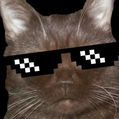 Cant Let Go (With lyrics)