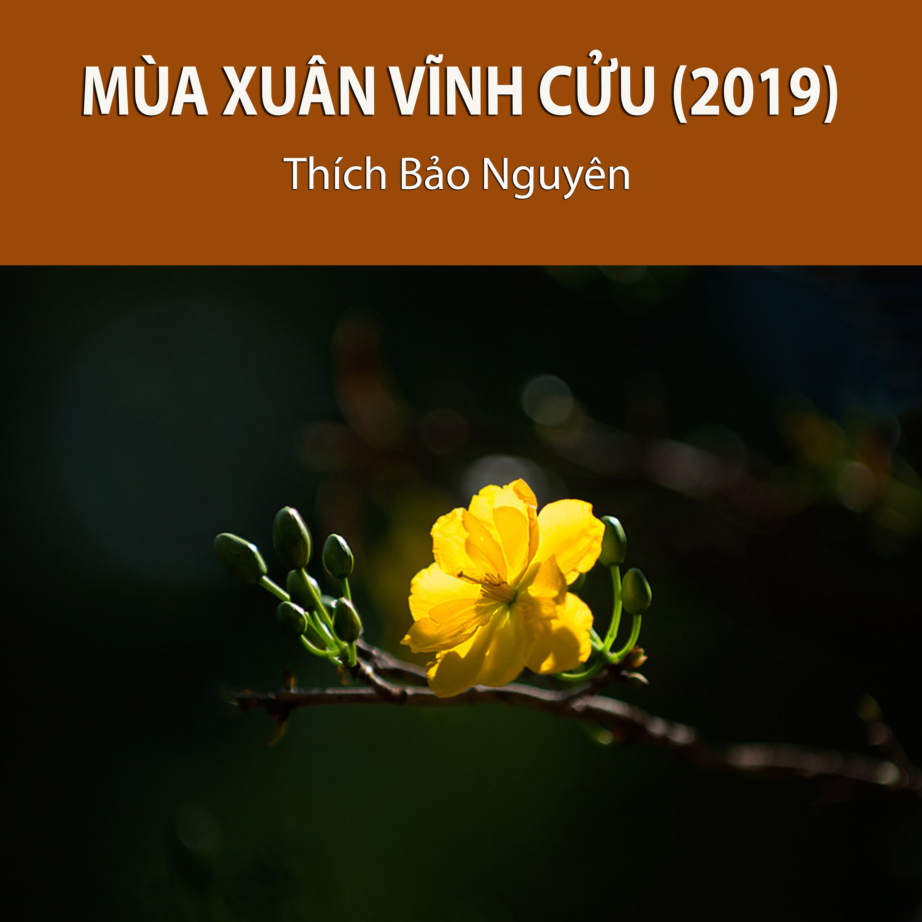 Thích Bảo Nguyên