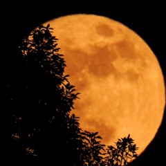 Night Time Relevance