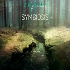 Symbiosis | Arcadia | New Age Music