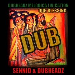 SENNID & DUBHEADZ - DUB BLESSING (DUBHEADZ MELODICA LIVICATION!!!