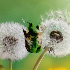 TPC - In The Back (Prod. Yando x G Kat)