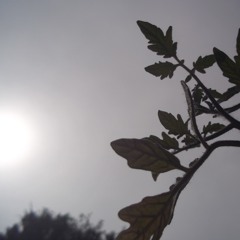 Garden (A Prelude to "Strangers")