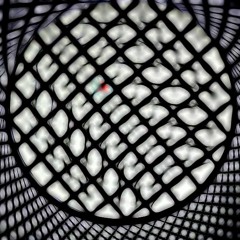 Boson Spin - Trolgarvin [part 1]