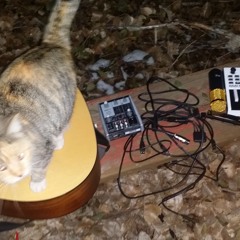 Feathered Snake Road