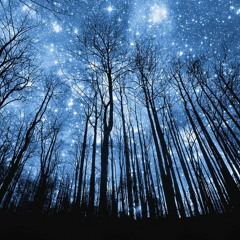 One day by Bob Marley (cover)