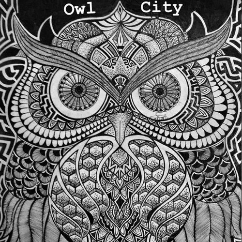 Owl City