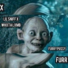 Lil Sniff x WHXTALXMB - Furry Pussy