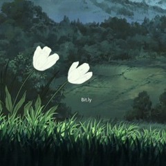 Bit.ly