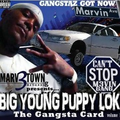 THE GANGSTA CARD VOL- 1 (Full Album)