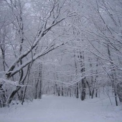 Such Great Heights (Postal Service cover)