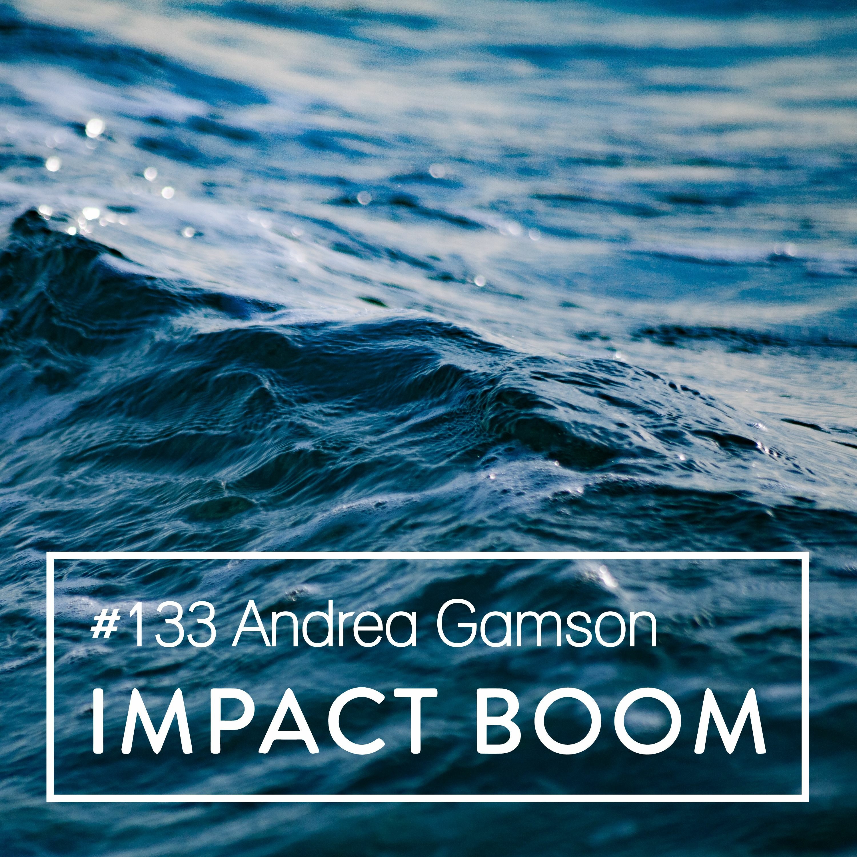 Episode 133 (2019) Andrea Gamson On Transitioning From The Corporate Sector To Social Enterprise episode artwork