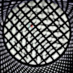 Boson Spin - Trolgarvin [part 2]