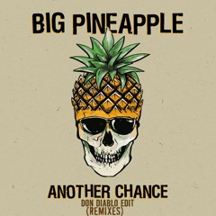 Big Pineapple - Another Chance (Don Diablo Edit vs Remixes) (Project Maëlstrom Mashup)