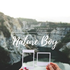 Nature Boy Revision